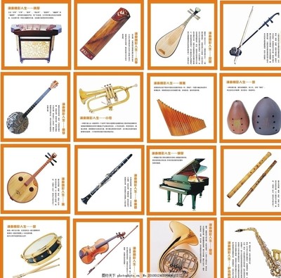 世界樂器博覽 揚琴、古箏、小號與琵琶的藝術魅力
